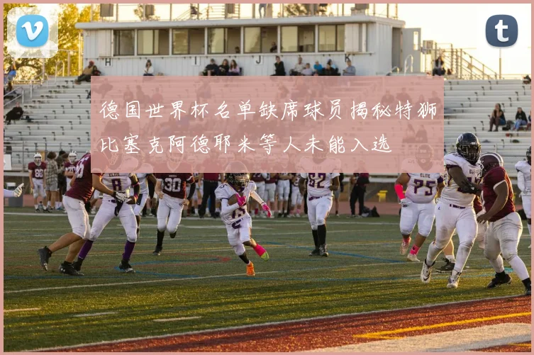 德国世界杯名单缺席球员揭秘特狮比塞克阿德耶米等人未能入选