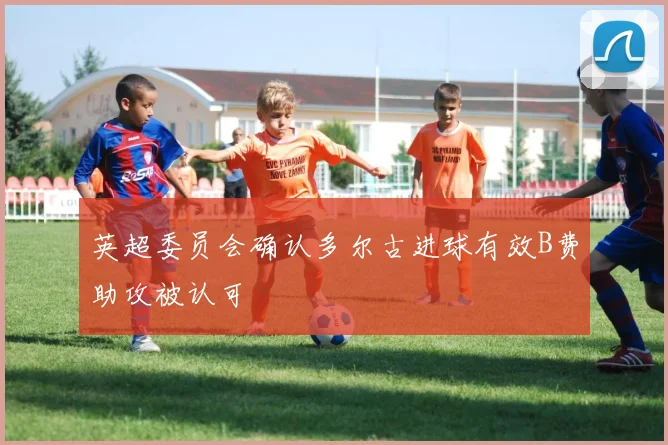 英超委员会确认多尔古进球有效B费助攻被认可
