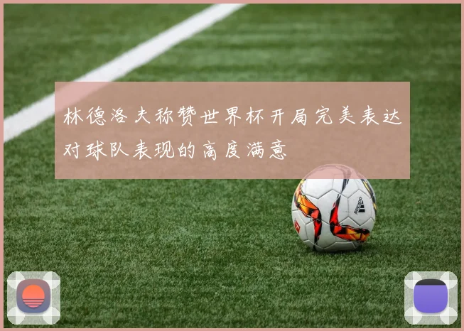 林德洛夫称赞世界杯开局完美表达对球队表现的高度满意