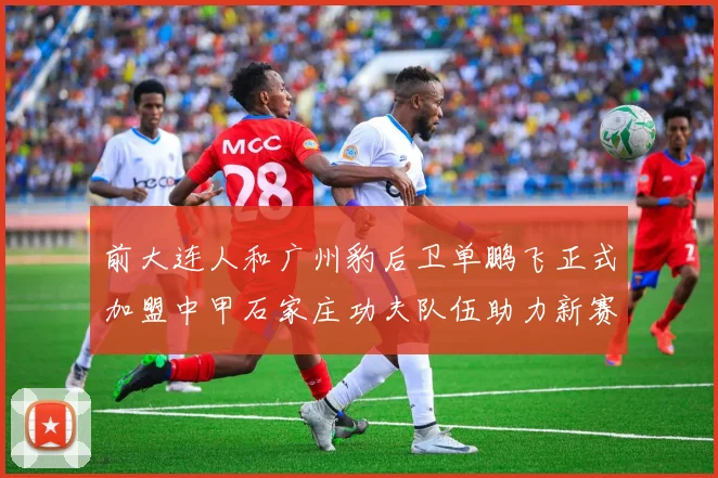 前大连人和广州豹后卫单鹏飞正式加盟中甲石家庄功夫队伍助力新赛季